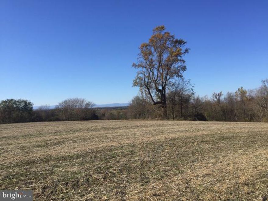Beautiful ten acre+ building lot located just 8 miles from Town of Culpeper off of Rt. 3.  Up on a ridge line that captures the views of the Town of Culpeper and the Blue Ridge mountains. See the pictures for the sunset views.  Soil work is complete and on file with the Health Dept for a 4 BR conventional, gravity system. The property is near the end of  Fairfield Ln which is a private gravel road with a road maintenance agreement in place. Electric is available.  Mostly open pasture so little clearing is needed to build. Land was planted in soybeans and is in agriculture use tax status with the County. It is eligible to remain in ag use if the buyer applies.