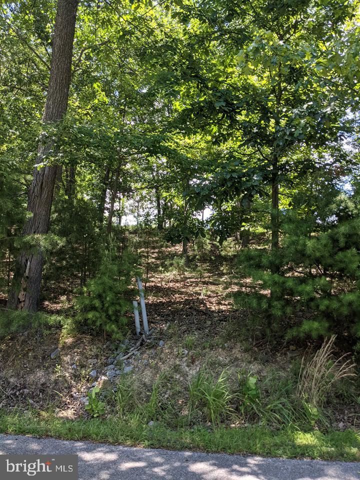 LAKE FOREST ESTATES - Land