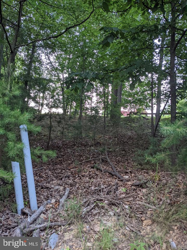 LAKE FOREST ESTATES - Land