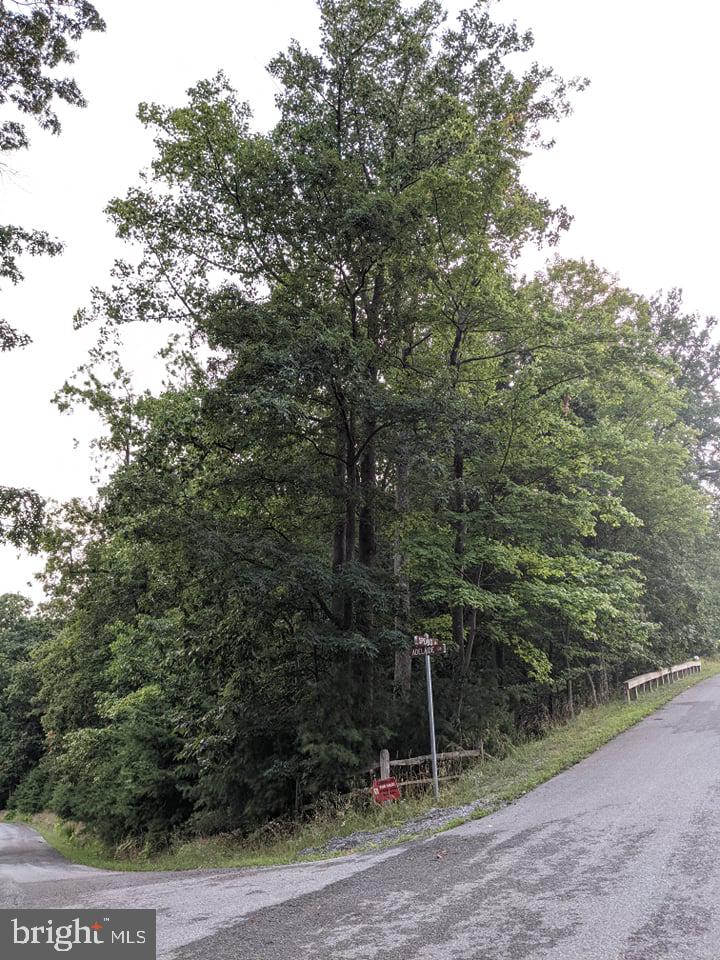 LAKE FOREST ESTATES - Land