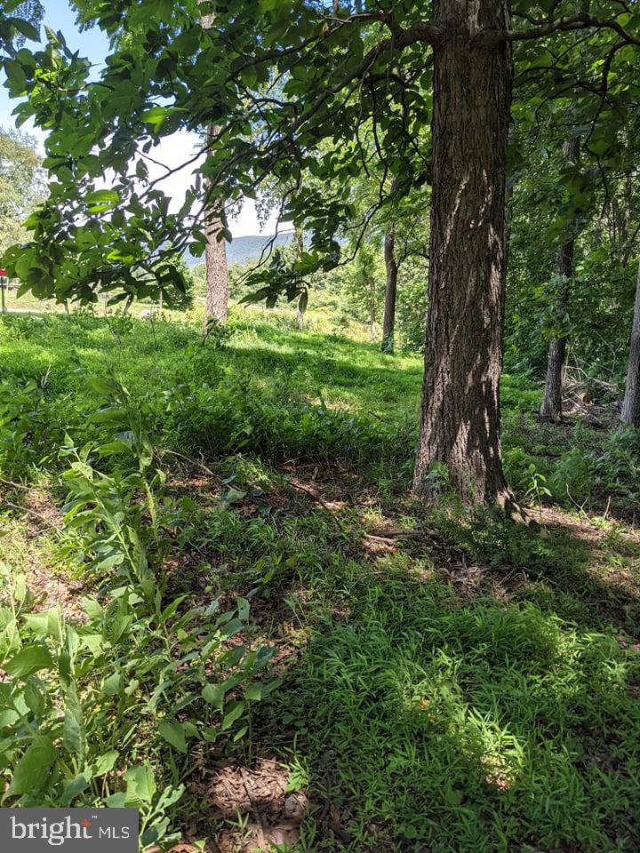 LAKE FOREST ESTATES - Land