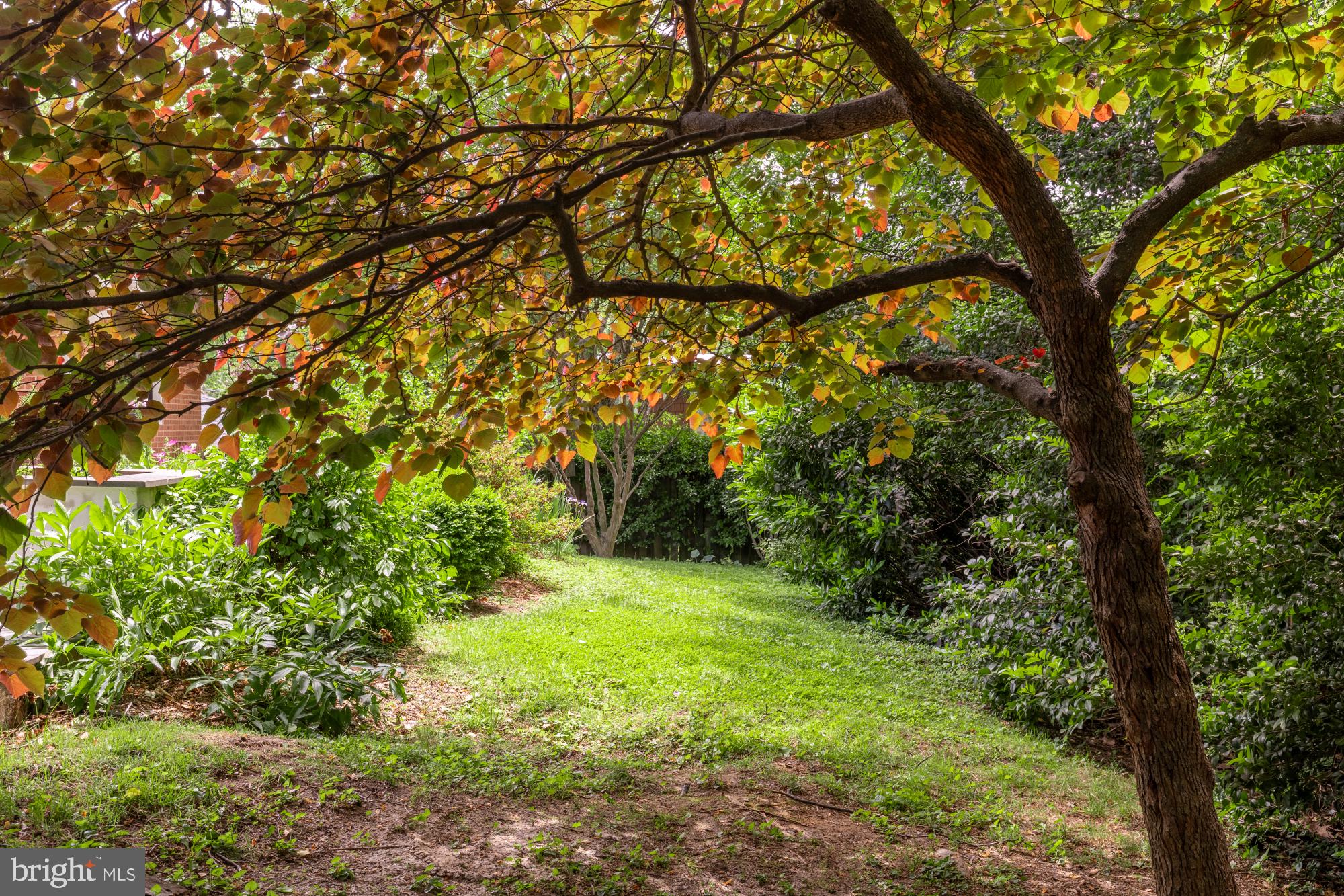 KENWOOD PARK - Residential