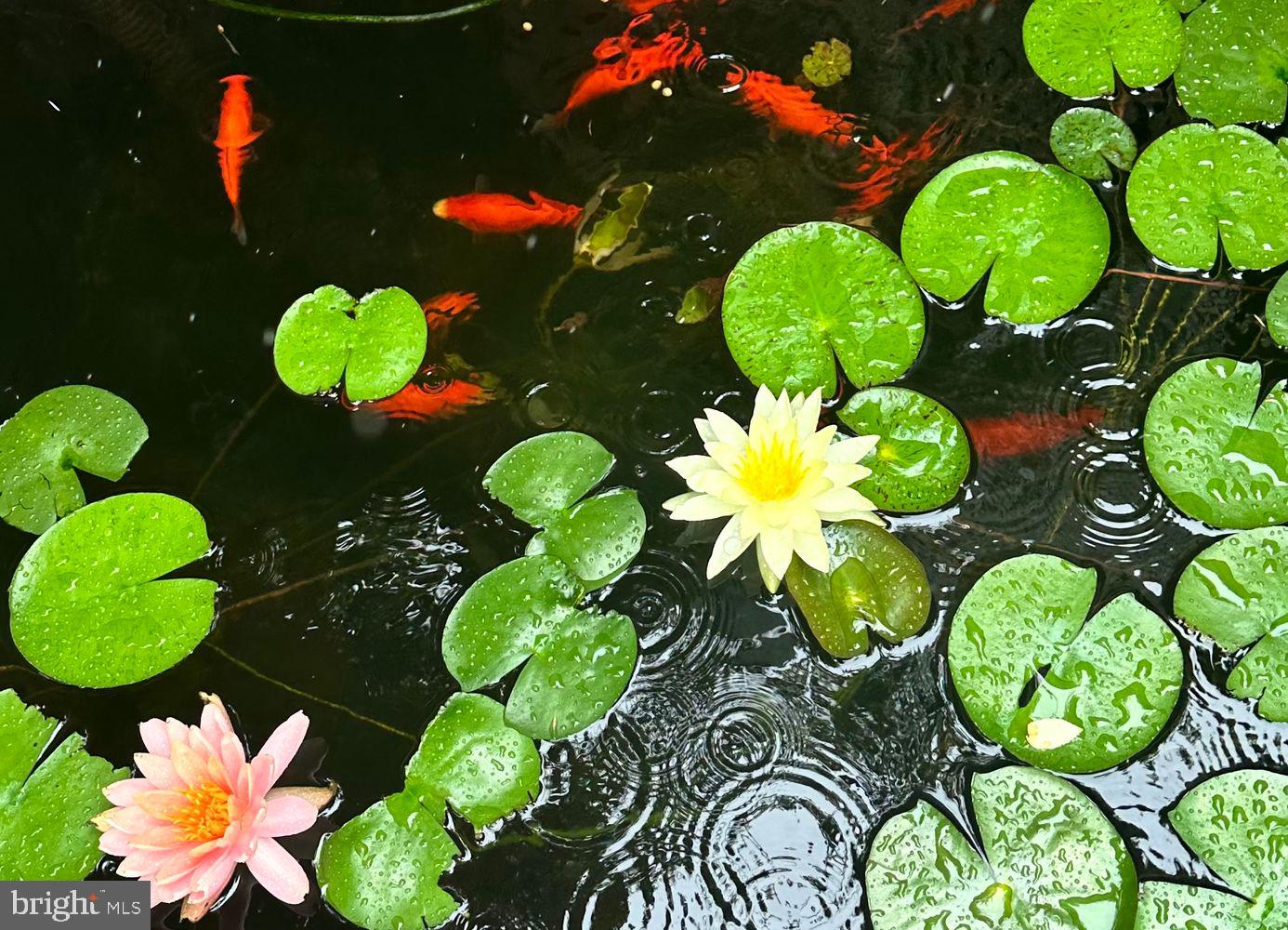 KENWOOD PARK - Residential