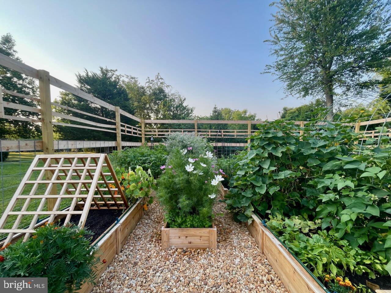 WATERLOO NORTH - Residential