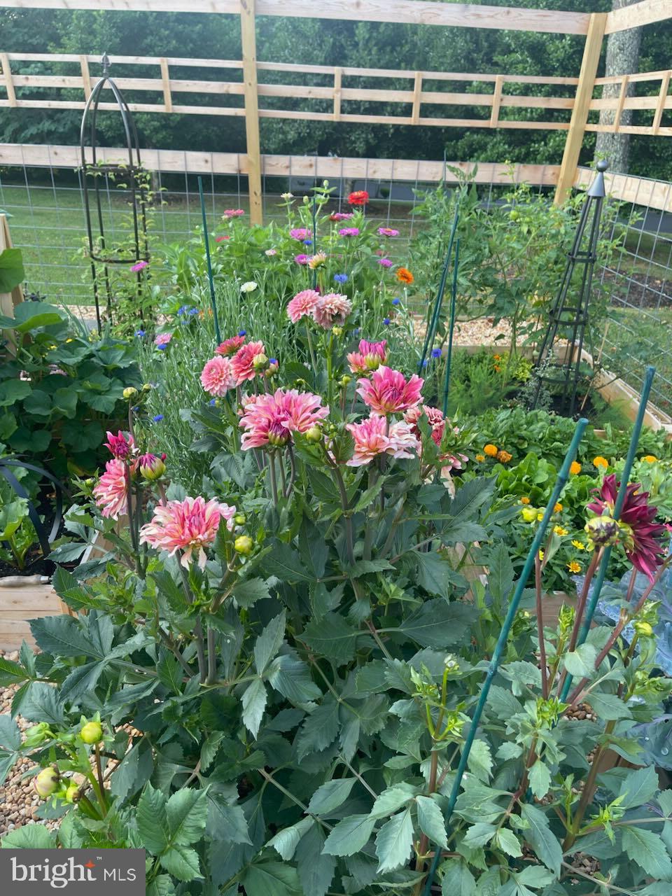 WATERLOO NORTH - Residential