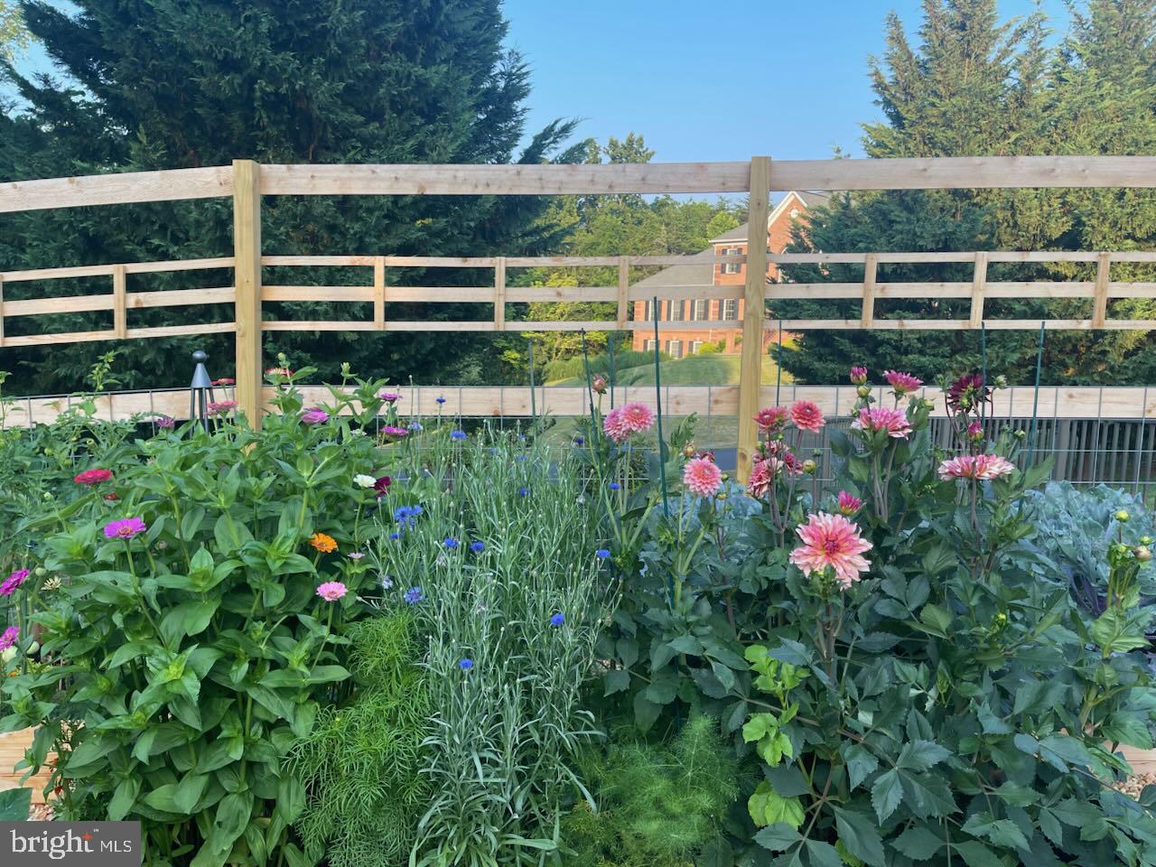 WATERLOO NORTH - Residential