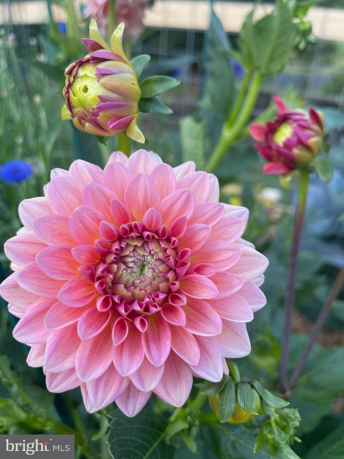 WATERLOO NORTH - Residential