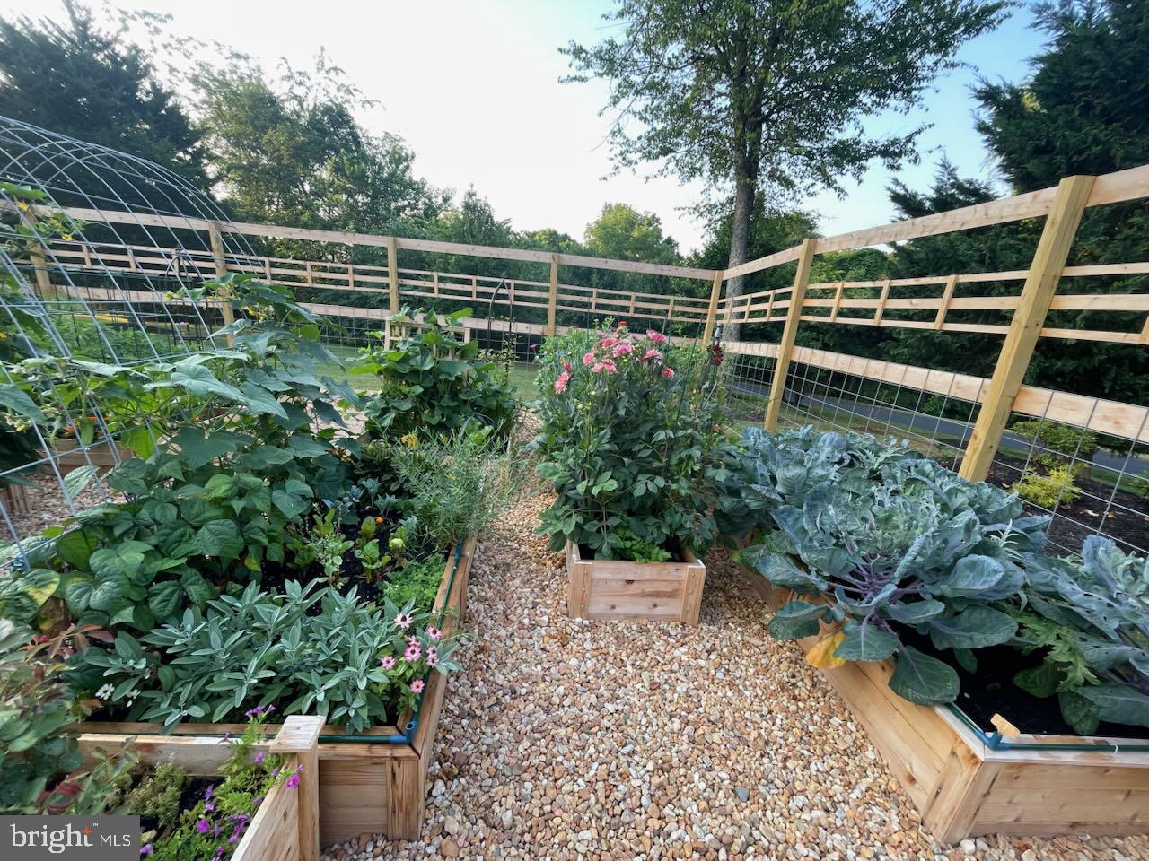 WATERLOO NORTH - Residential