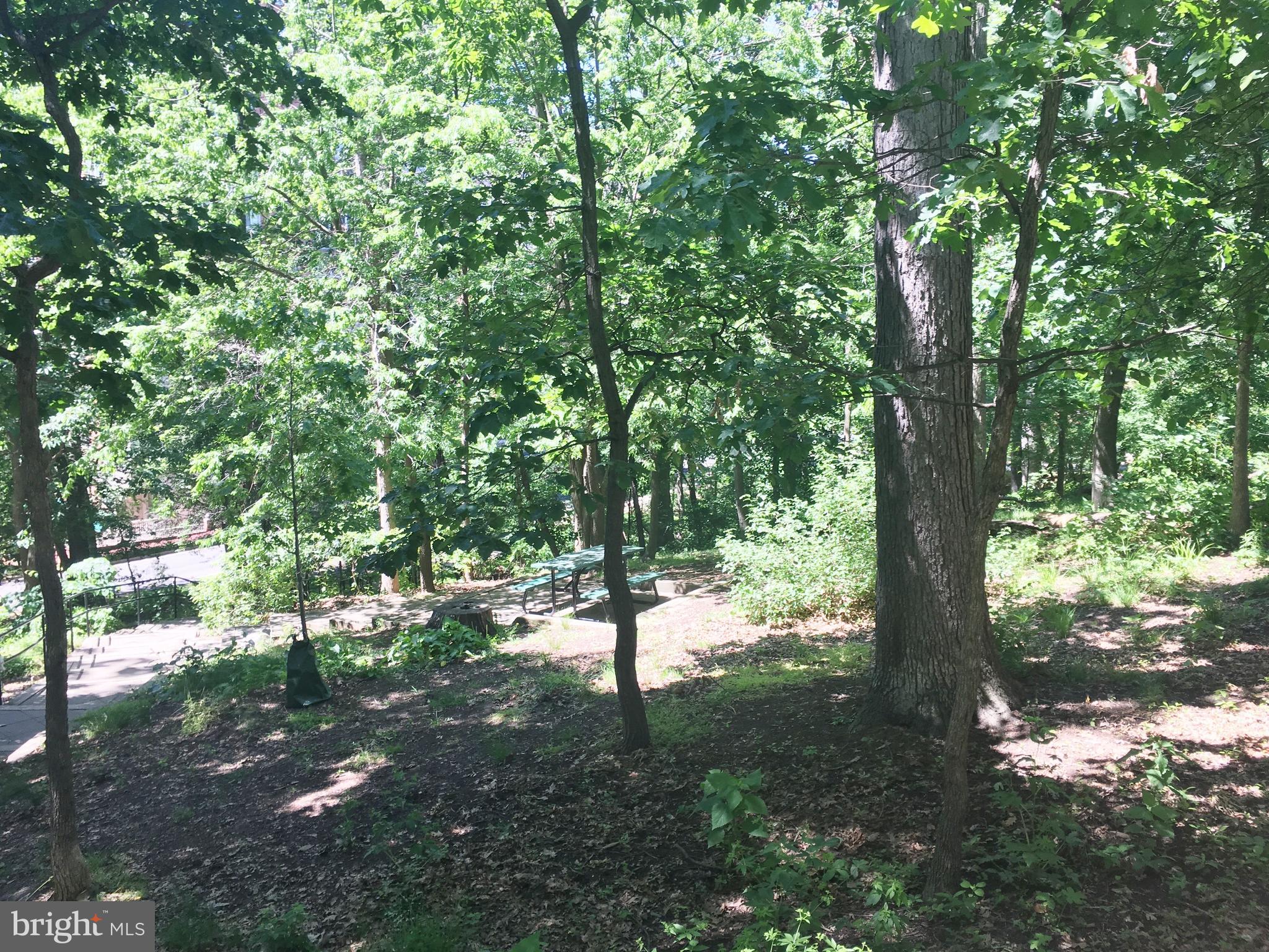 ROSSLYN - Residential Lease