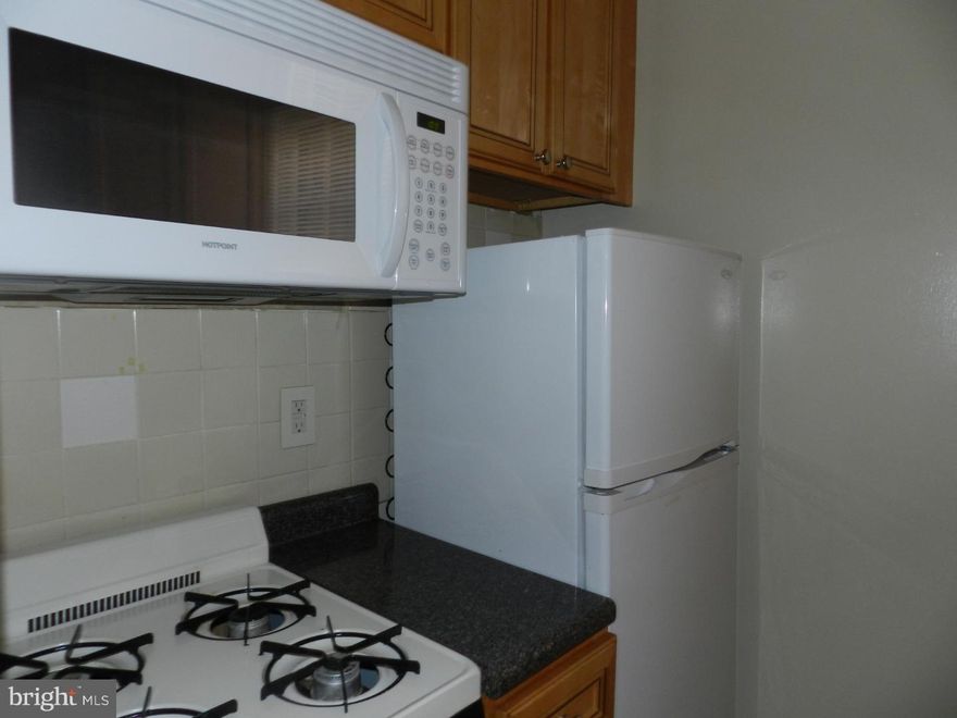 Bi-level, 1 bedroom with hardwood floors and a new kitchen. Living room has a decorative fireplace. Bedroom is large and on the lower. Laundry and additional storage in the building.