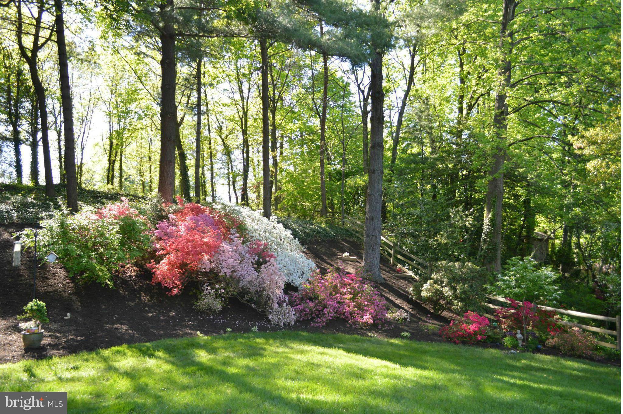 BARCROFT WOODS - Residential