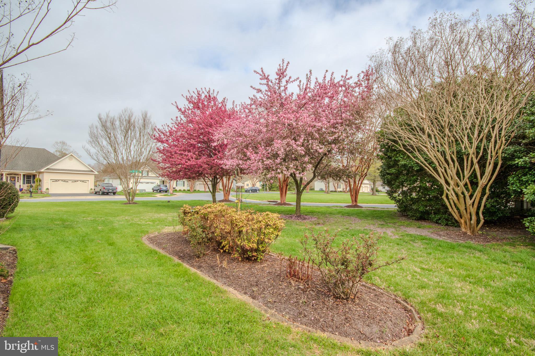 VILLAGE OF TONY TANK - Residential