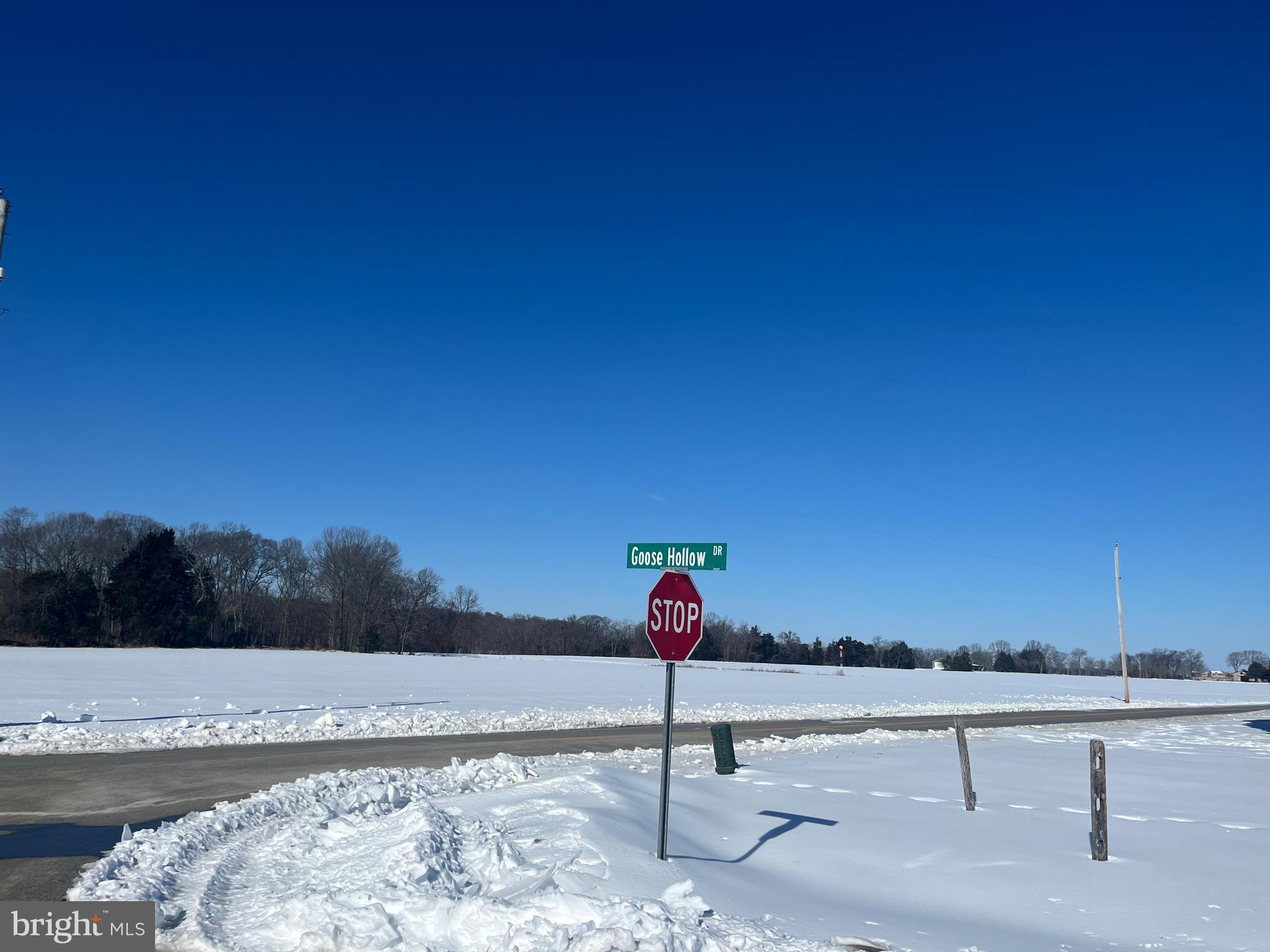 22481 GOOSE HOLLOW DRIVE