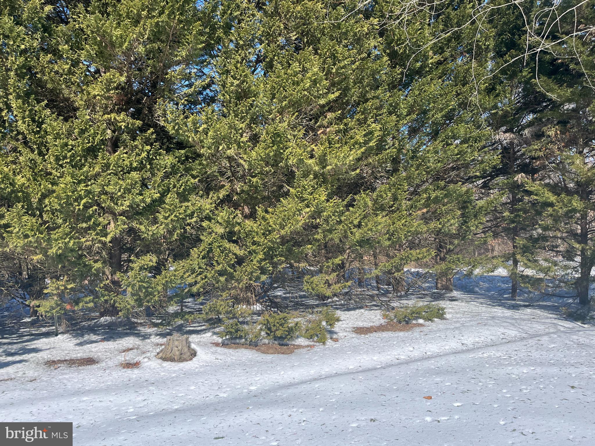 GOOSE HOLLOW - Residential