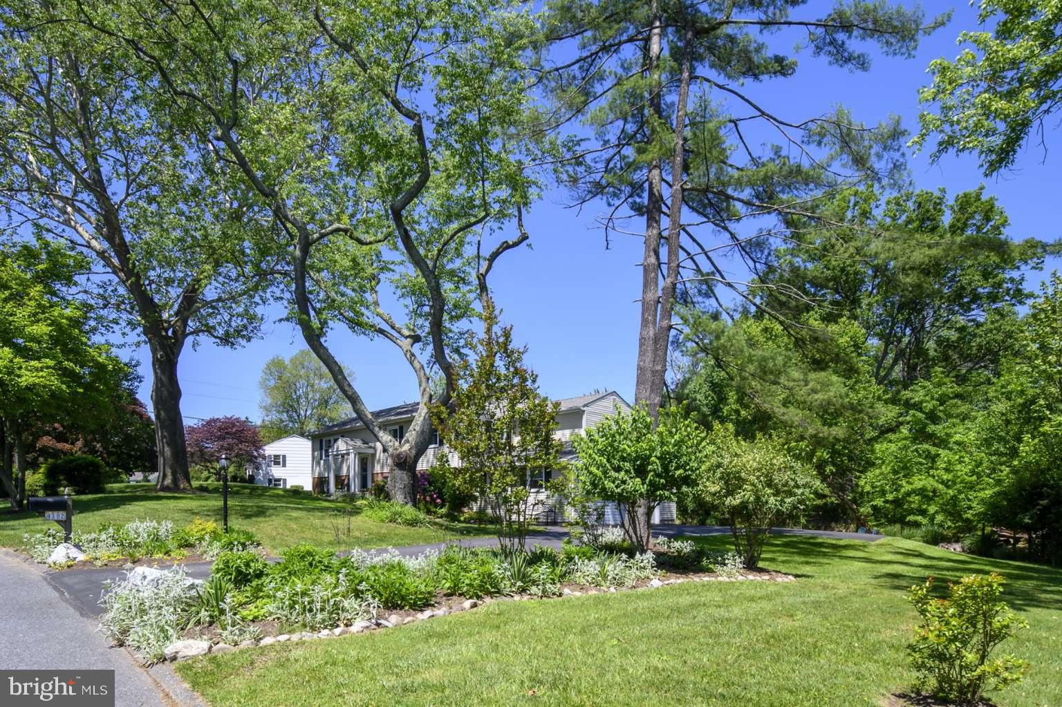 CHATHAM MEWS - Residential