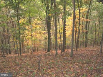 MEREDITH RIDGE - Land