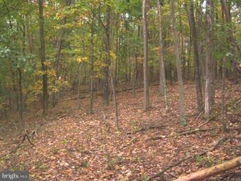 MEREDITH RIDGE - Land