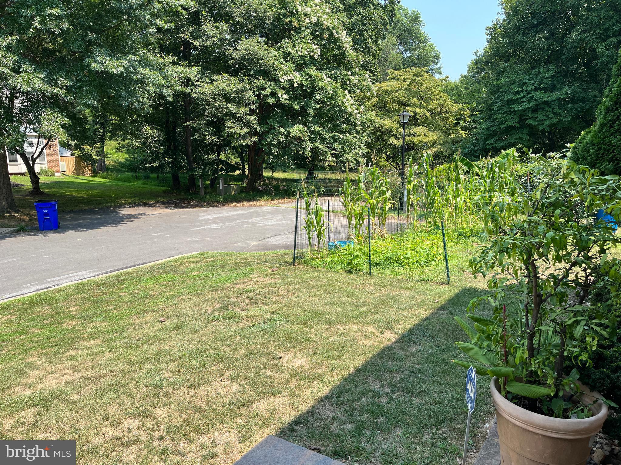 NORTH SHERWOOD FOREST - Residential