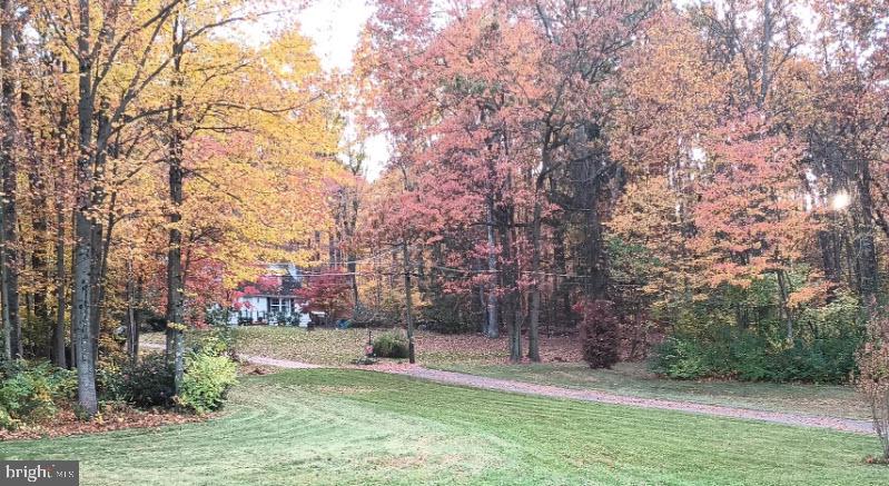 425 SWAMP ROAD