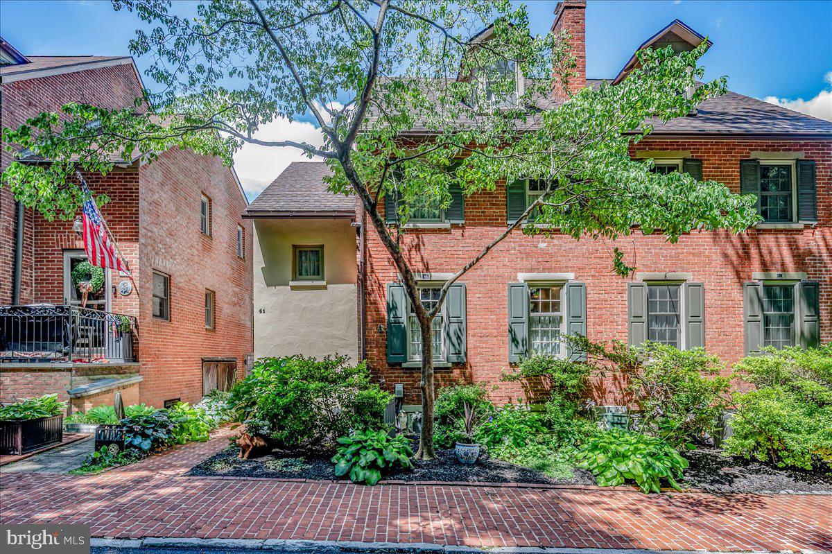 41 IVY ROAD