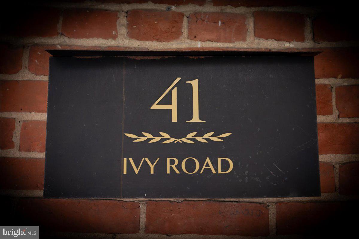 41 IVY ROAD