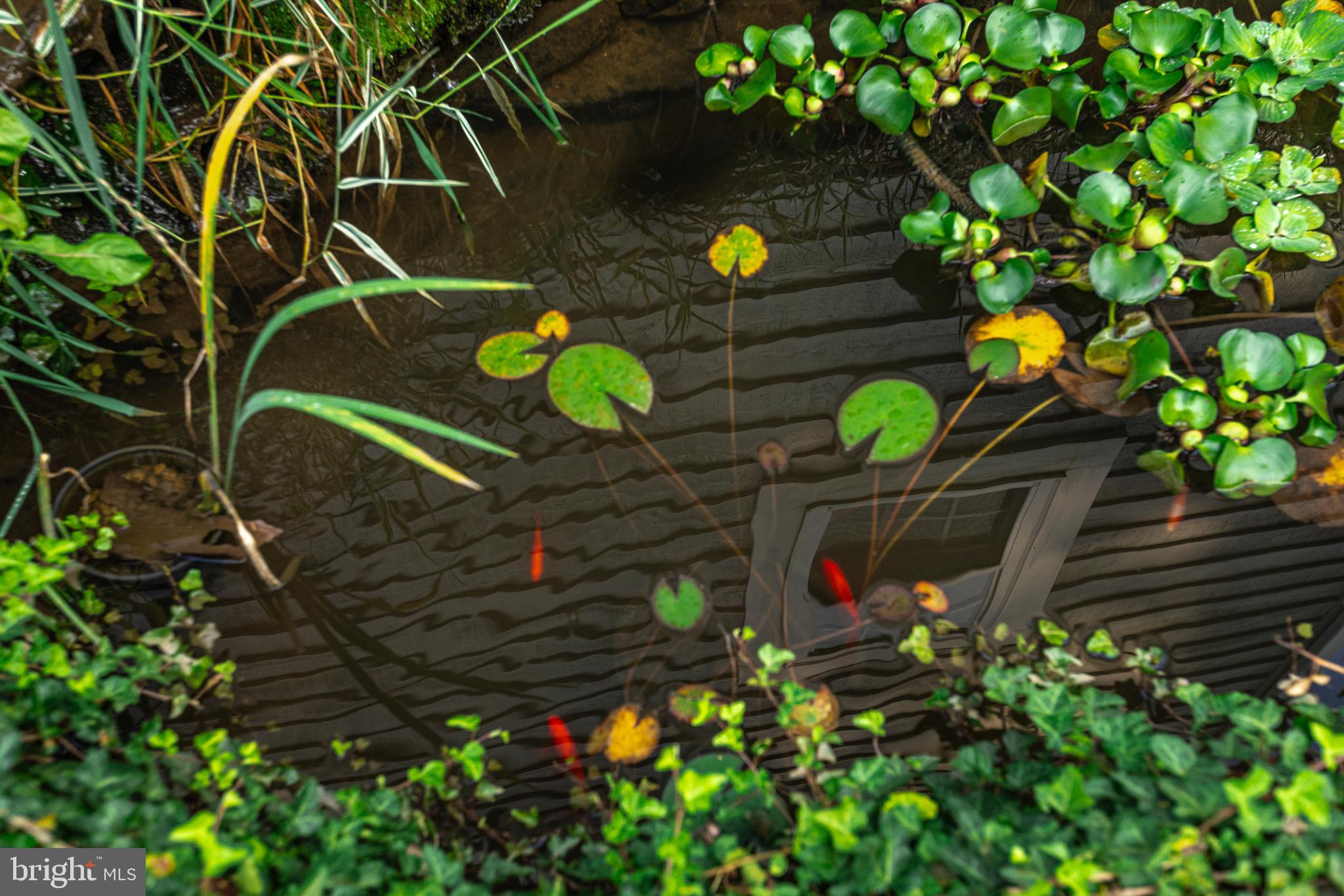 MANOR FIELDS - Residential