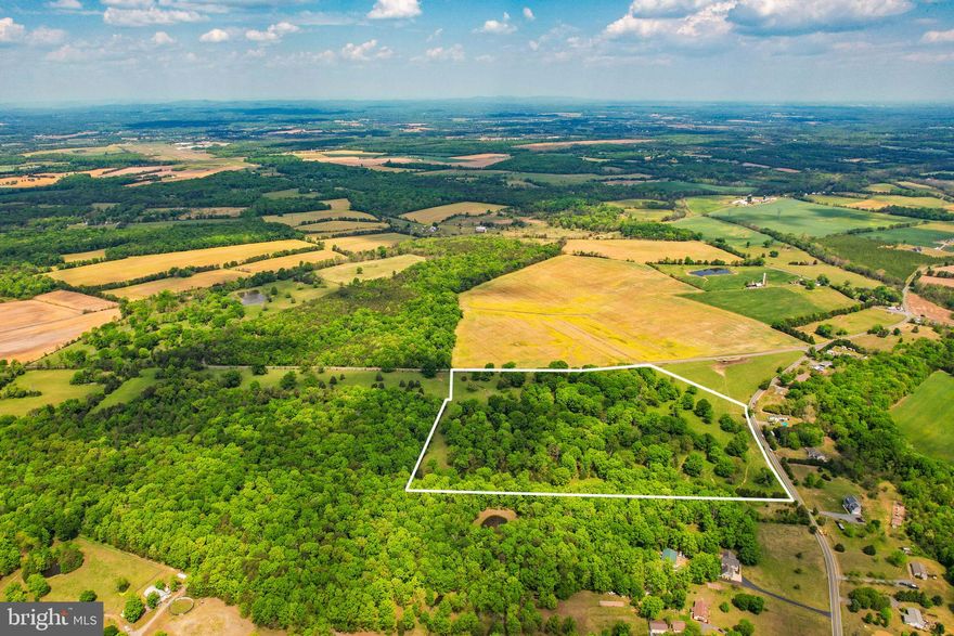 Amazing opportunity to purchase 3 lots totaling over 35 acres (30.75 acres, 3.62 acres and 1.00 acre).  All lots have ample road frontage.  Land has been used for cattle grazing and is a perfect mix of cleared/wooded.  Seller not responsible for roll back taxes if applicable.