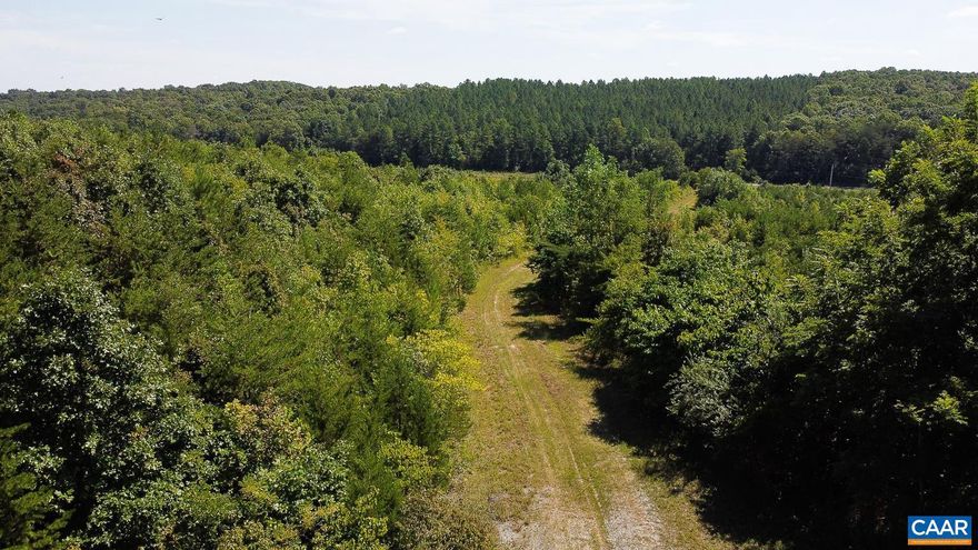 Just shy of 58 acres!! Beautifully maintained and a house site is ready for you. The property is next to 2 quarries for wildlife to be near. A perfect quiet Rural living. If you are looking for a permanent home or a get away from your busy city life. Enjoy a bit of piece and nature. This is Rural Nelson county, yet minutes away to Breweries, wineries, golf and skiing. Also a perfect for hunting  too!