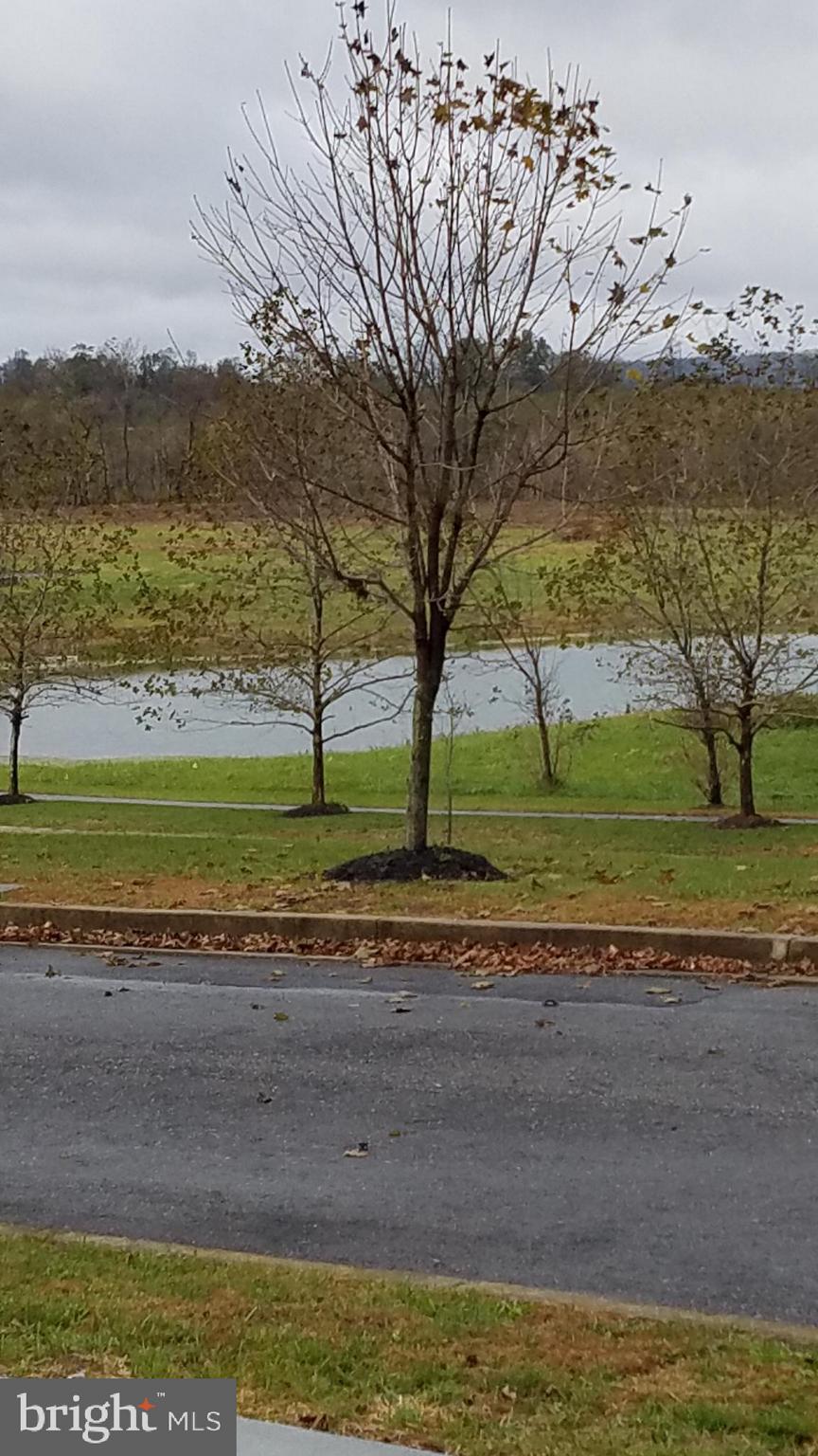 THE LAKES AT MARTINSBURG - Residential