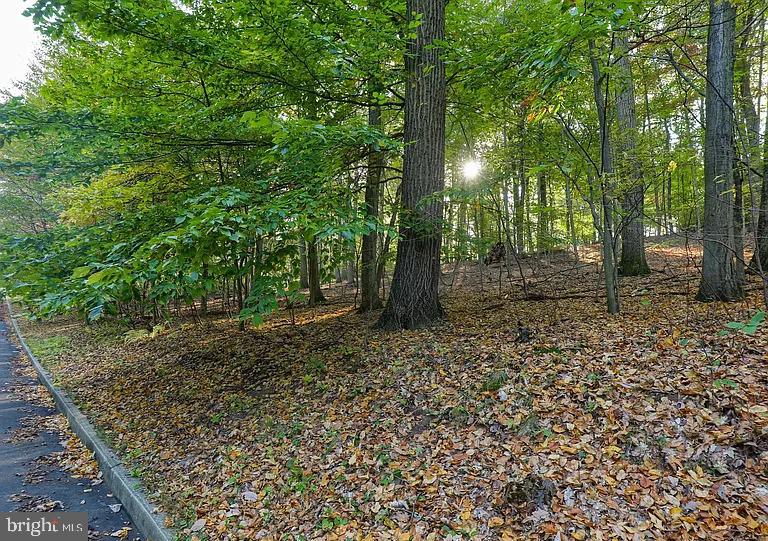 58 BUCK RUN ROAD