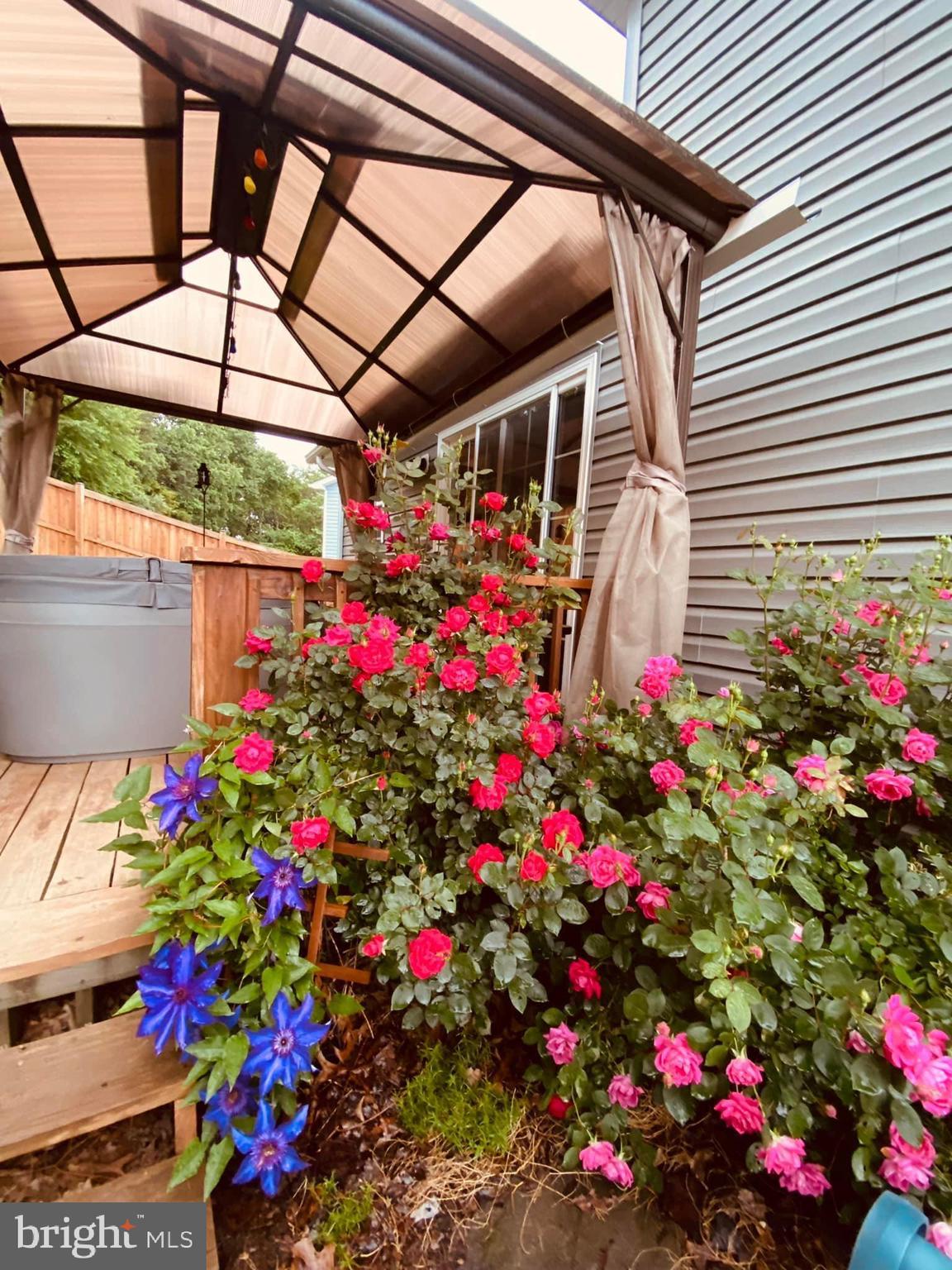 CHESSIE COURT - Residential