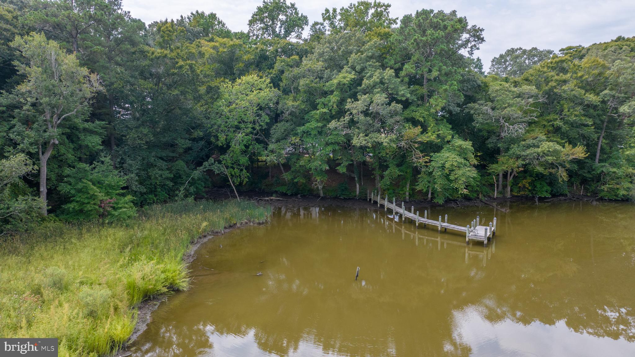 SHALLOWS THE - Residential