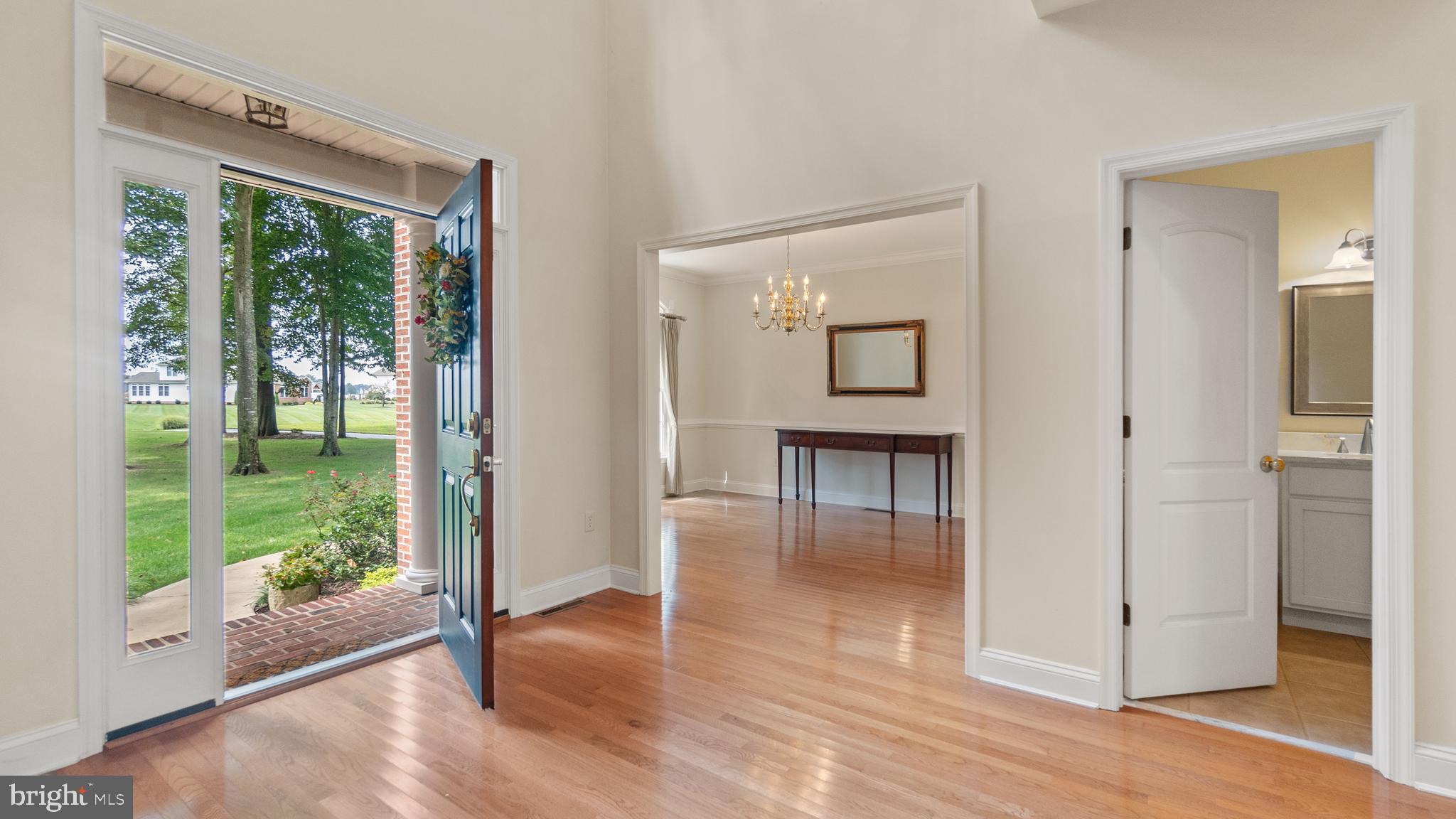 SHALLOWS THE - Residential