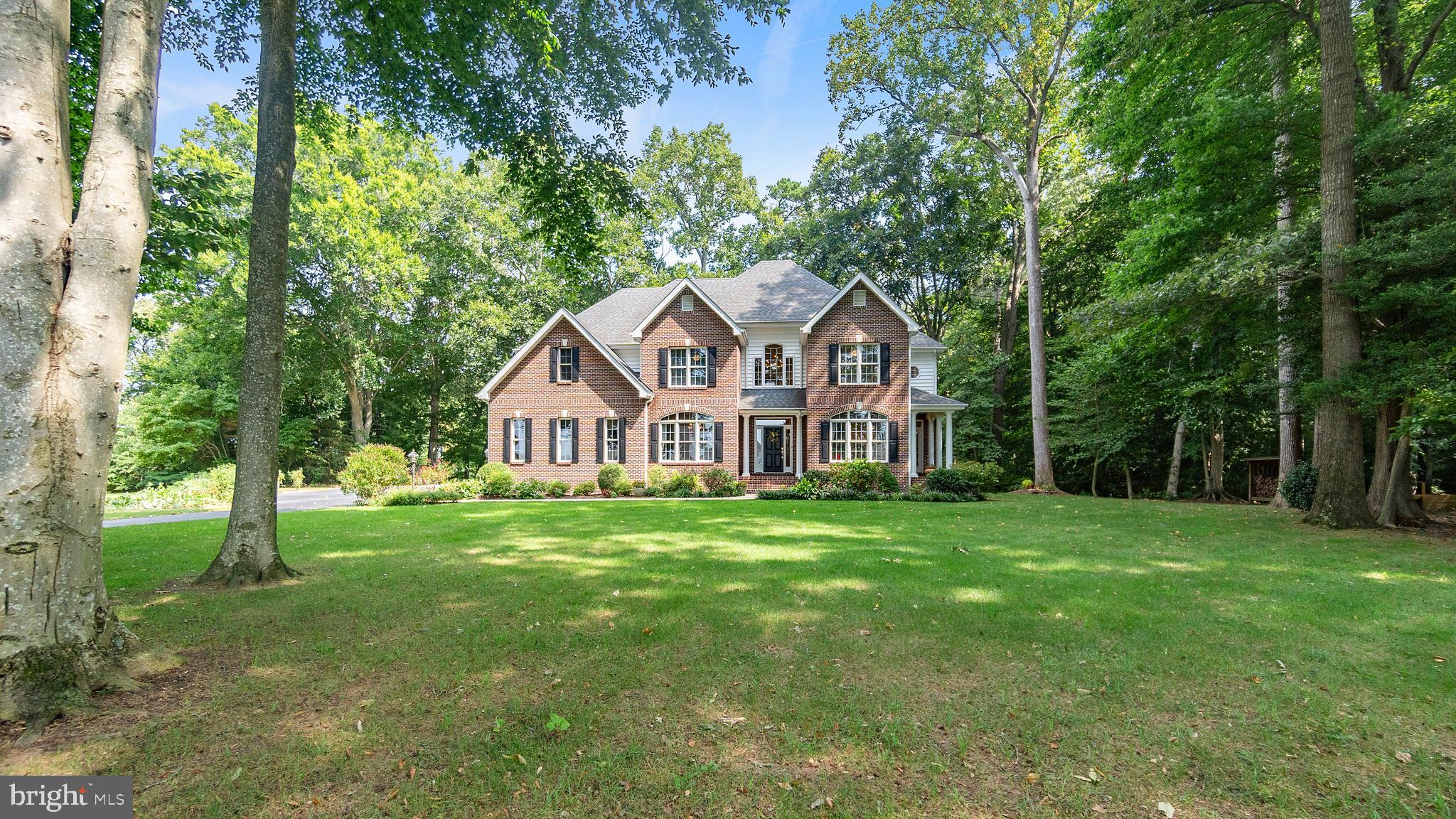 SHALLOWS THE - Residential