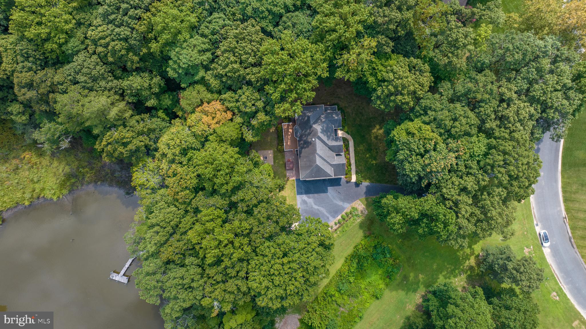 SHALLOWS THE - Residential