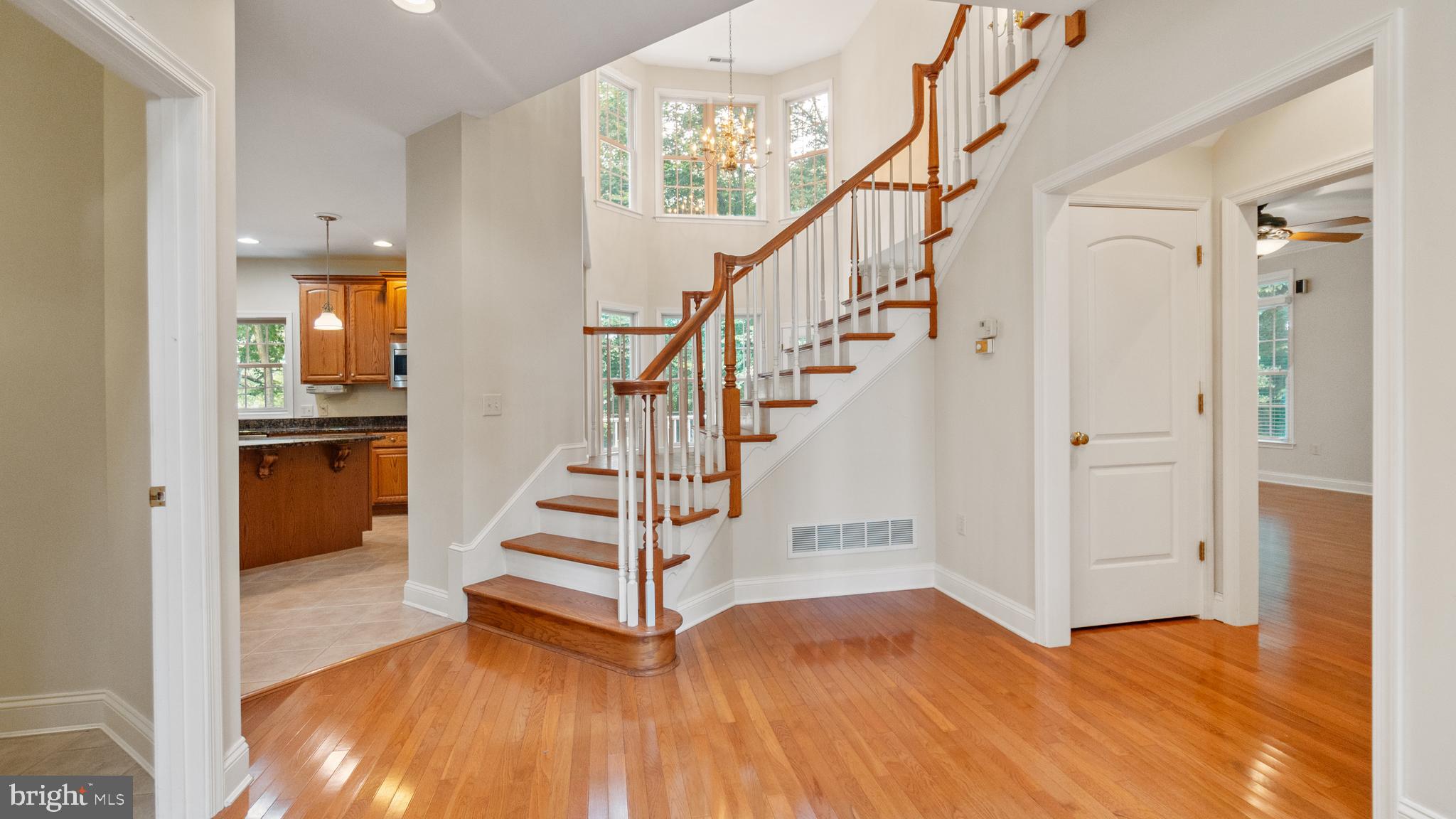 SHALLOWS THE - Residential