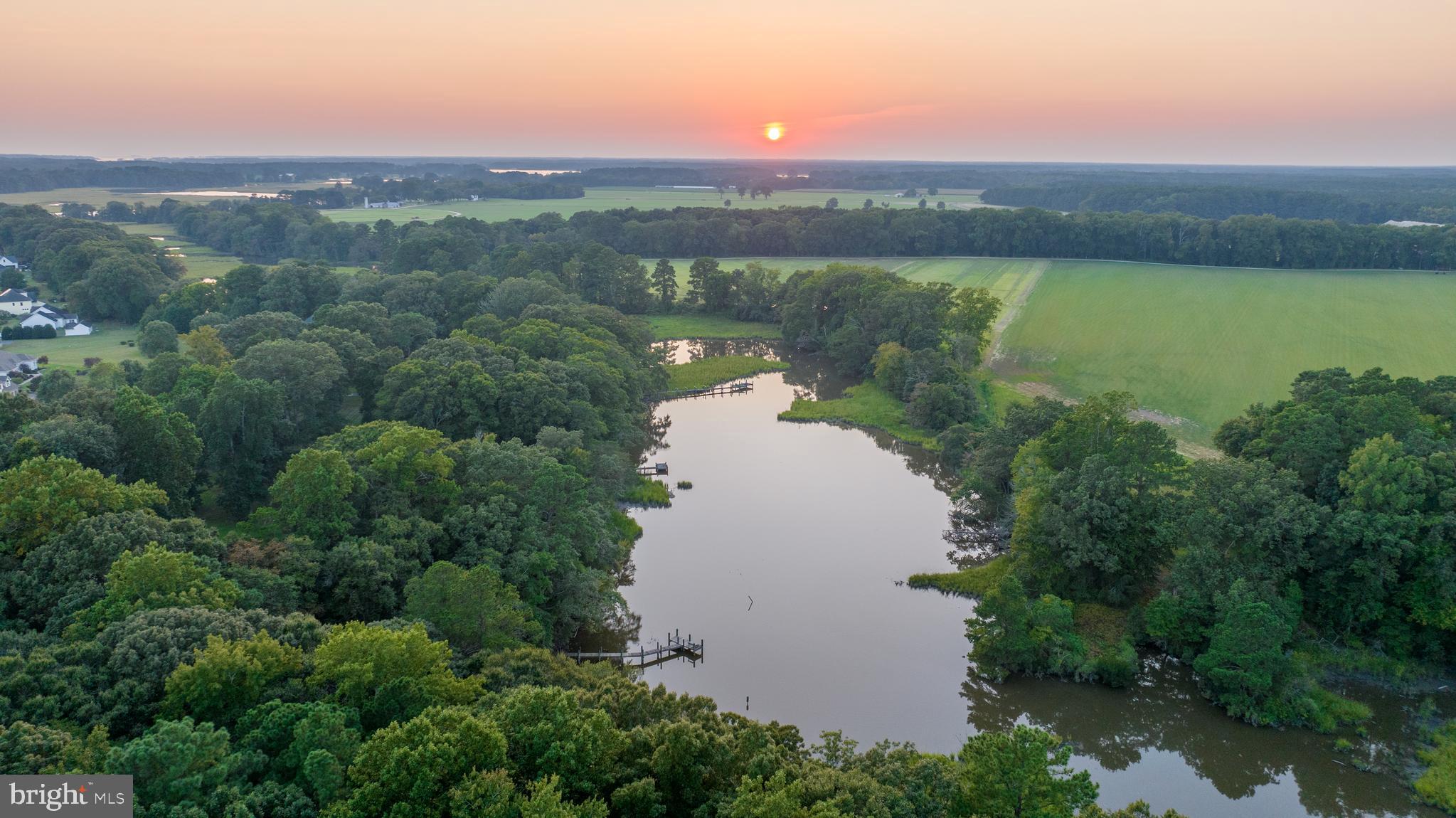 SHALLOWS THE - Residential