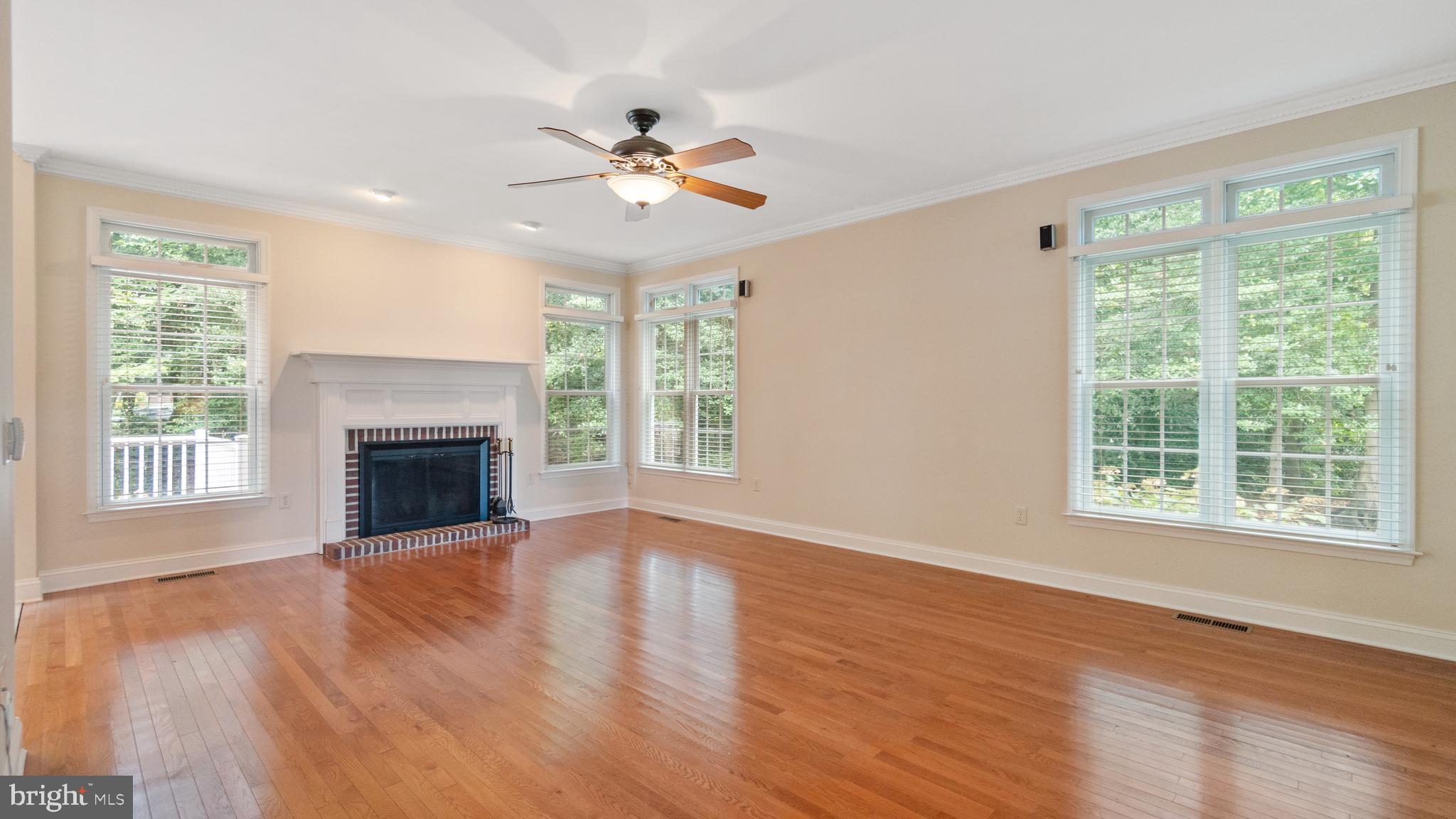 SHALLOWS THE - Residential