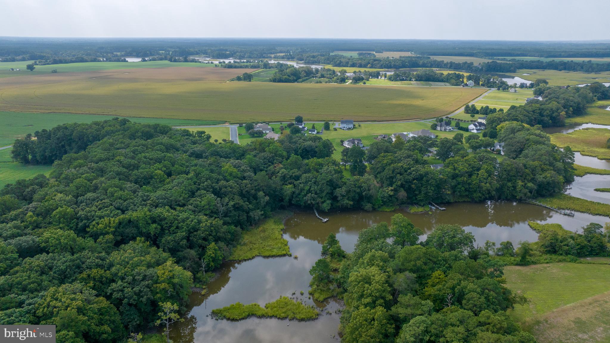SHALLOWS THE - Residential