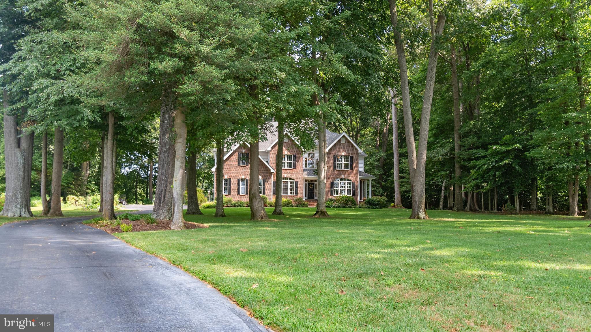 SHALLOWS THE - Residential