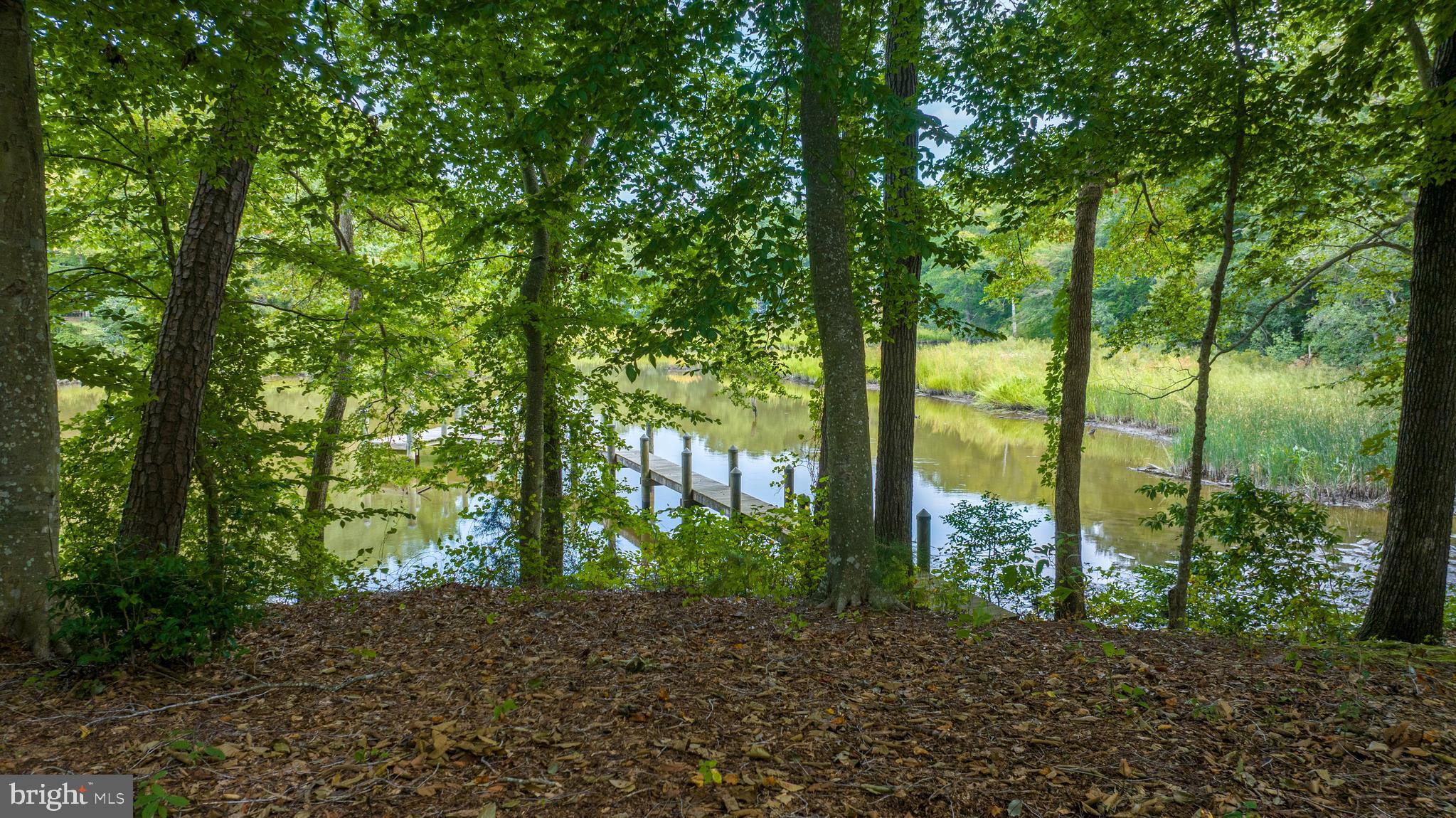 SHALLOWS THE - Residential