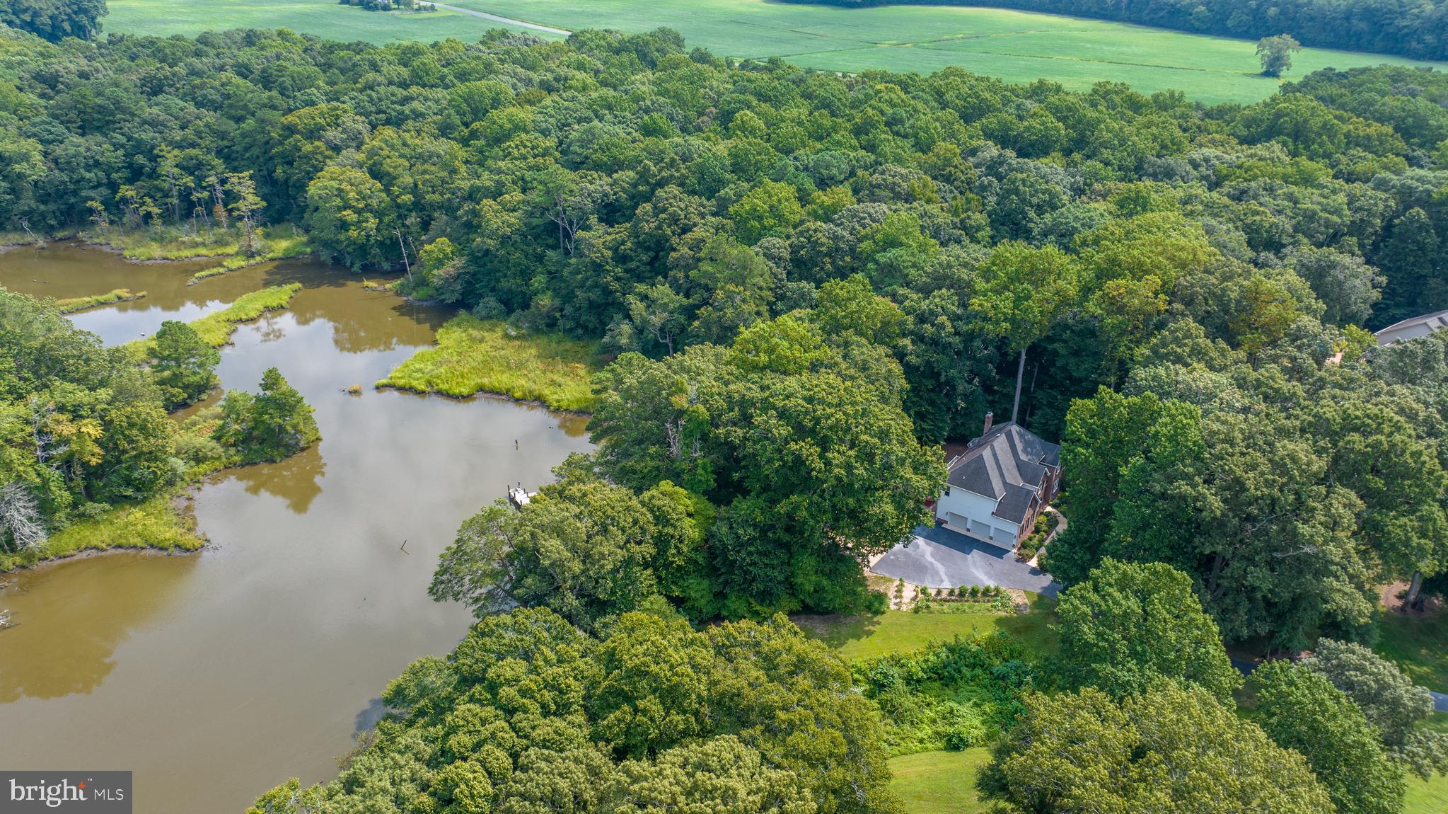 SHALLOWS THE - Residential