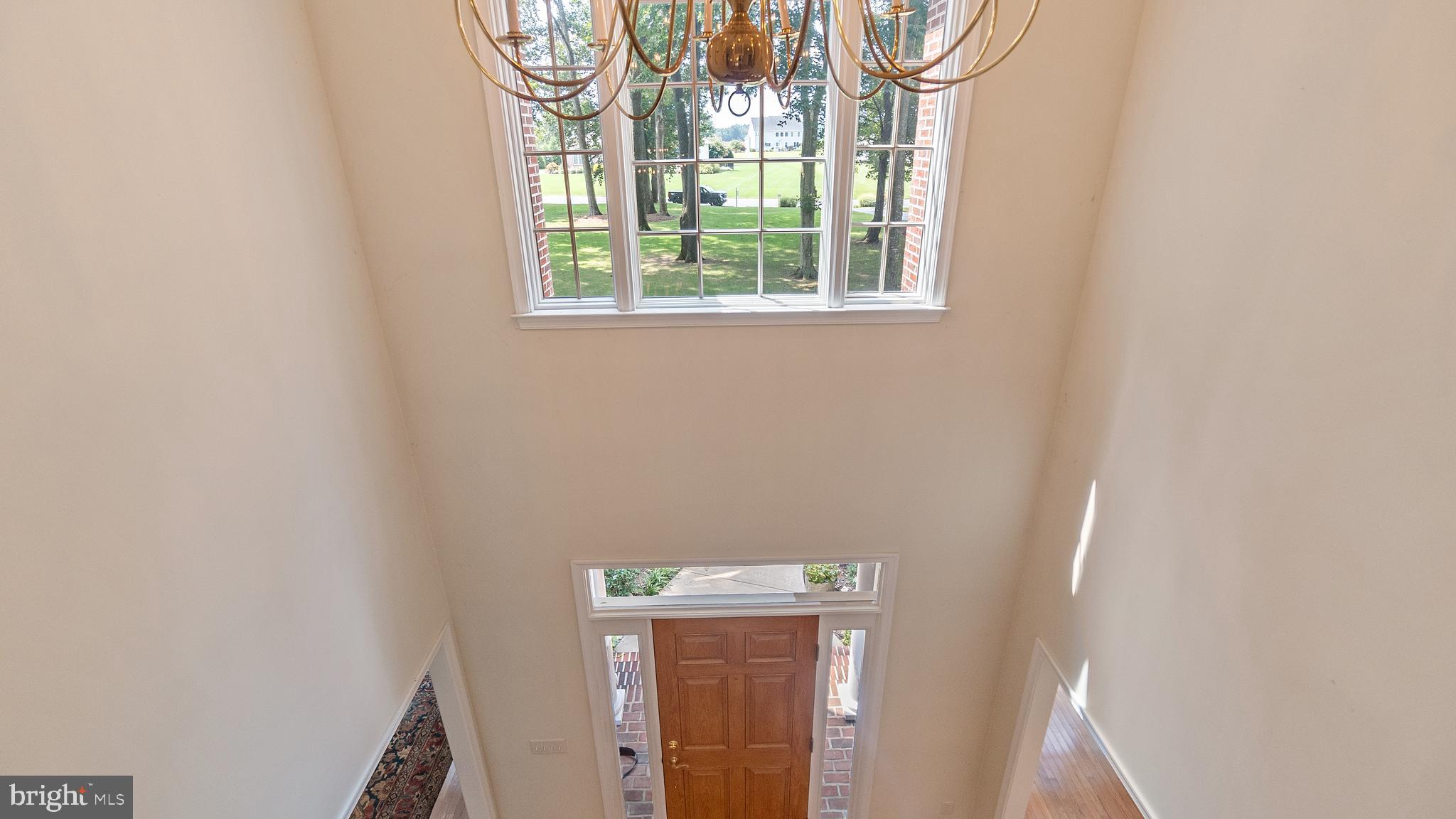 SHALLOWS THE - Residential