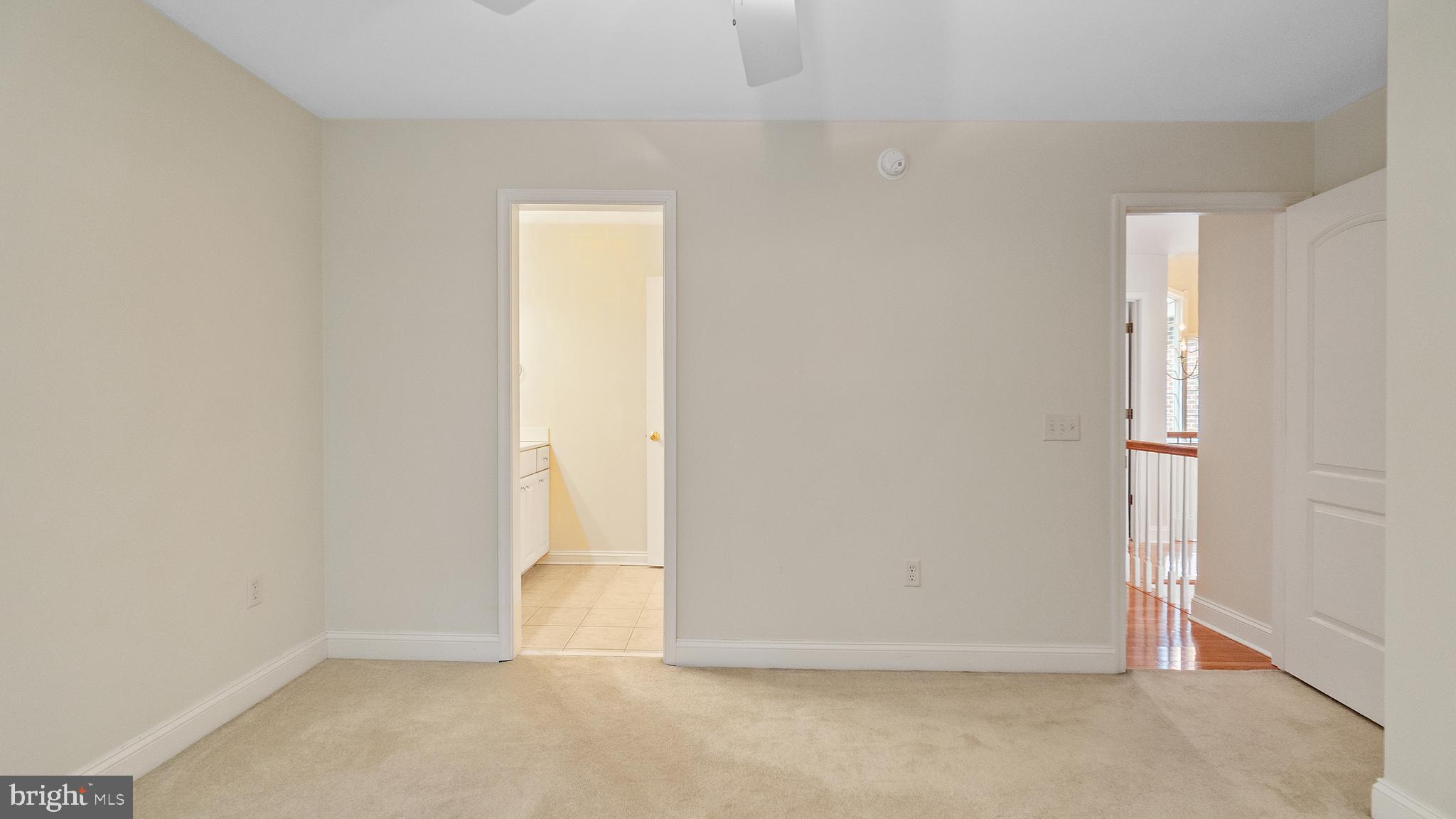 SHALLOWS THE - Residential