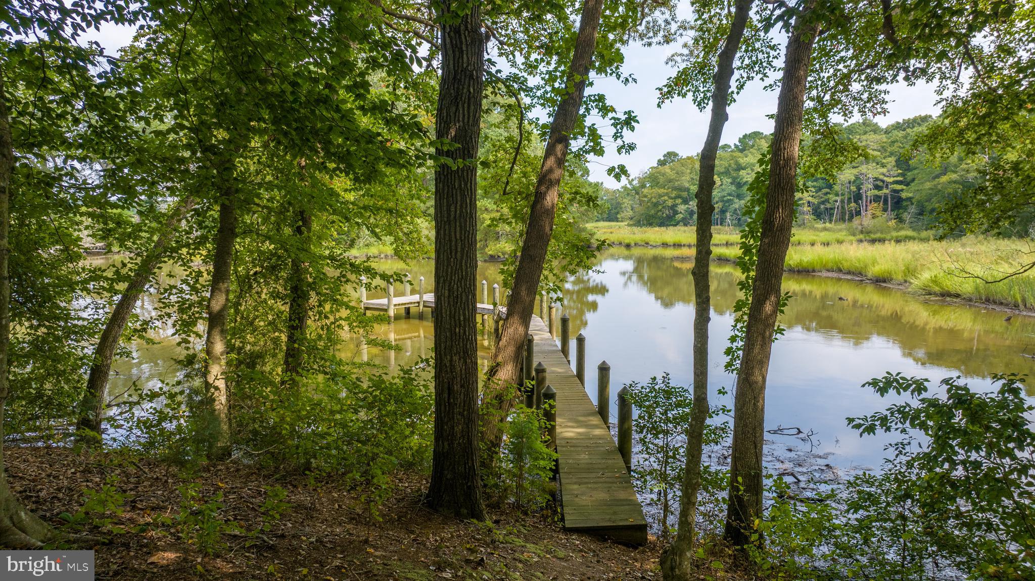 SHALLOWS THE - Residential