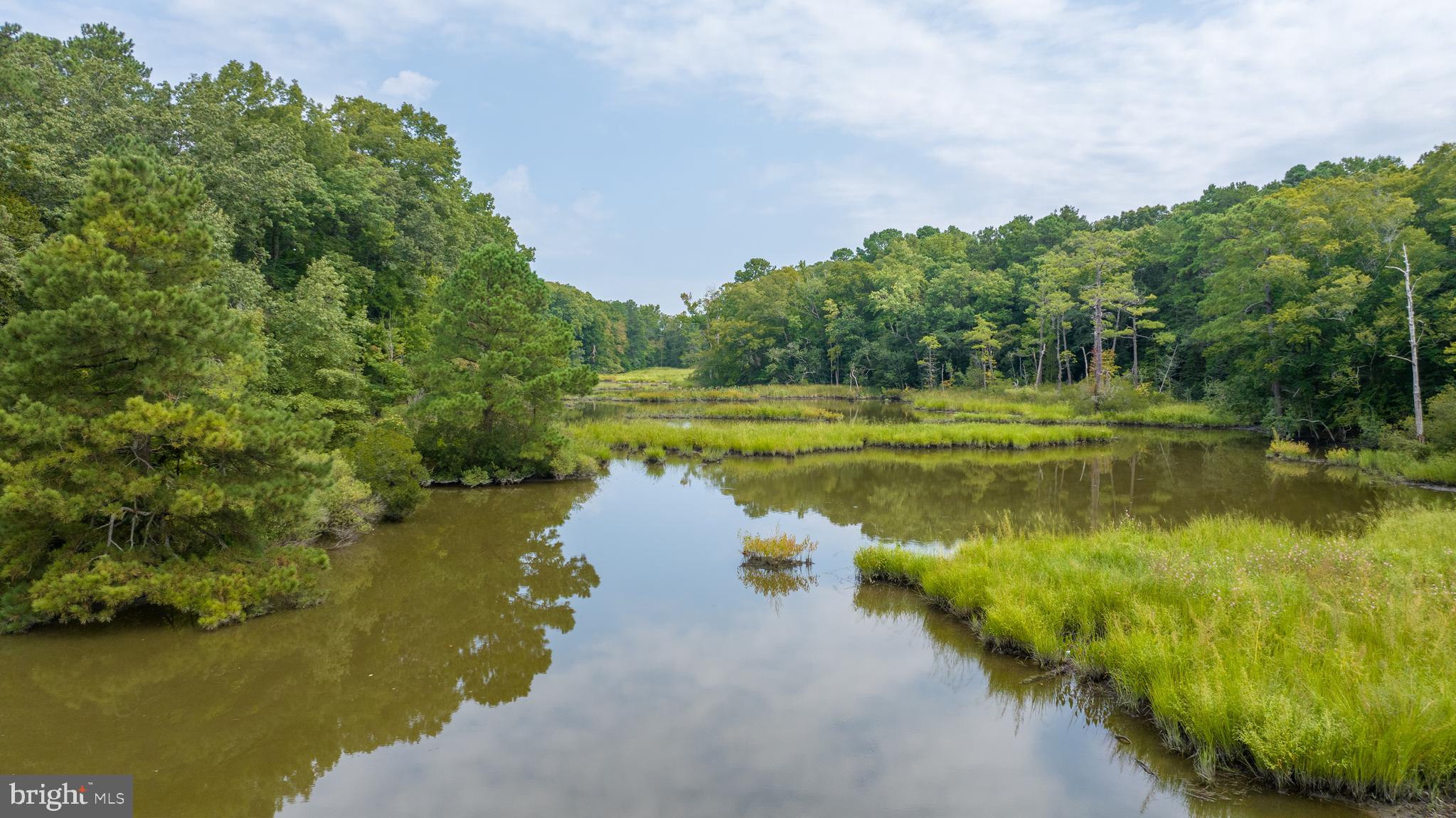SHALLOWS THE - Residential