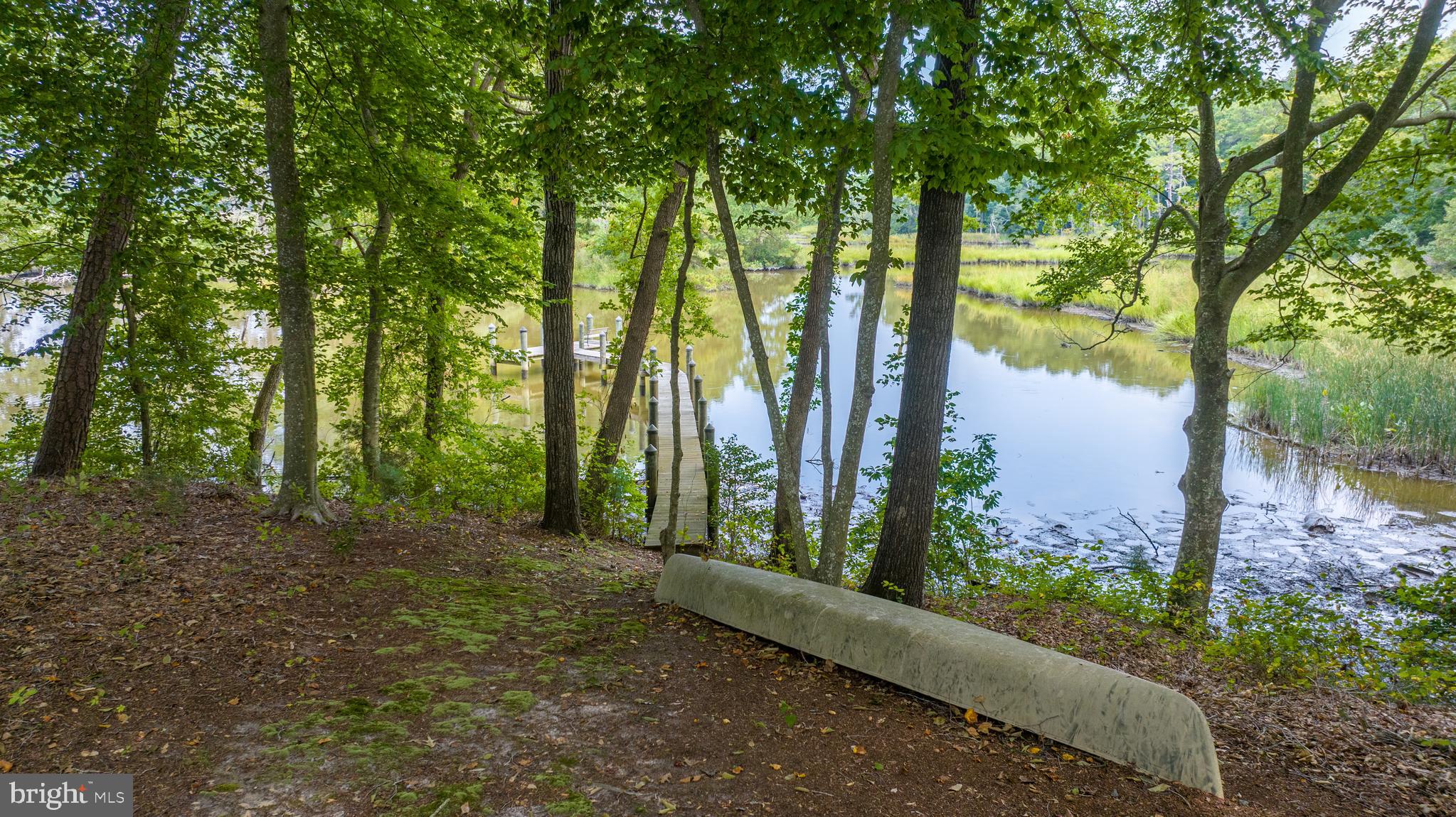 SHALLOWS THE - Residential