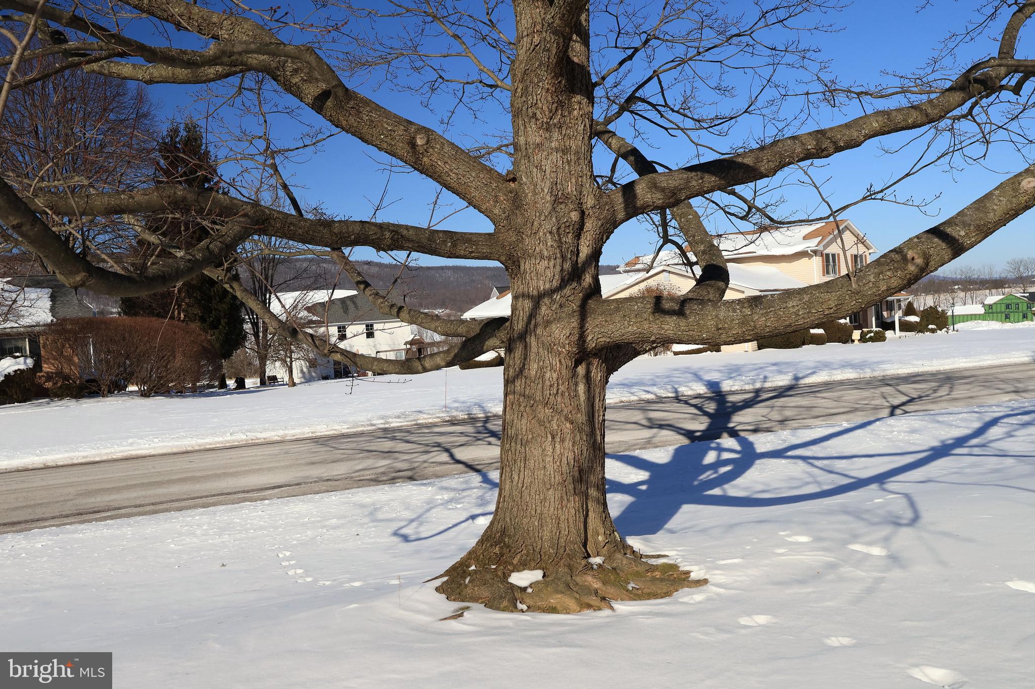 KAYWOOD - Residential