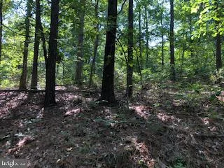 3A, 3B, 3C Lemming Lane, Winchester, VA 22602