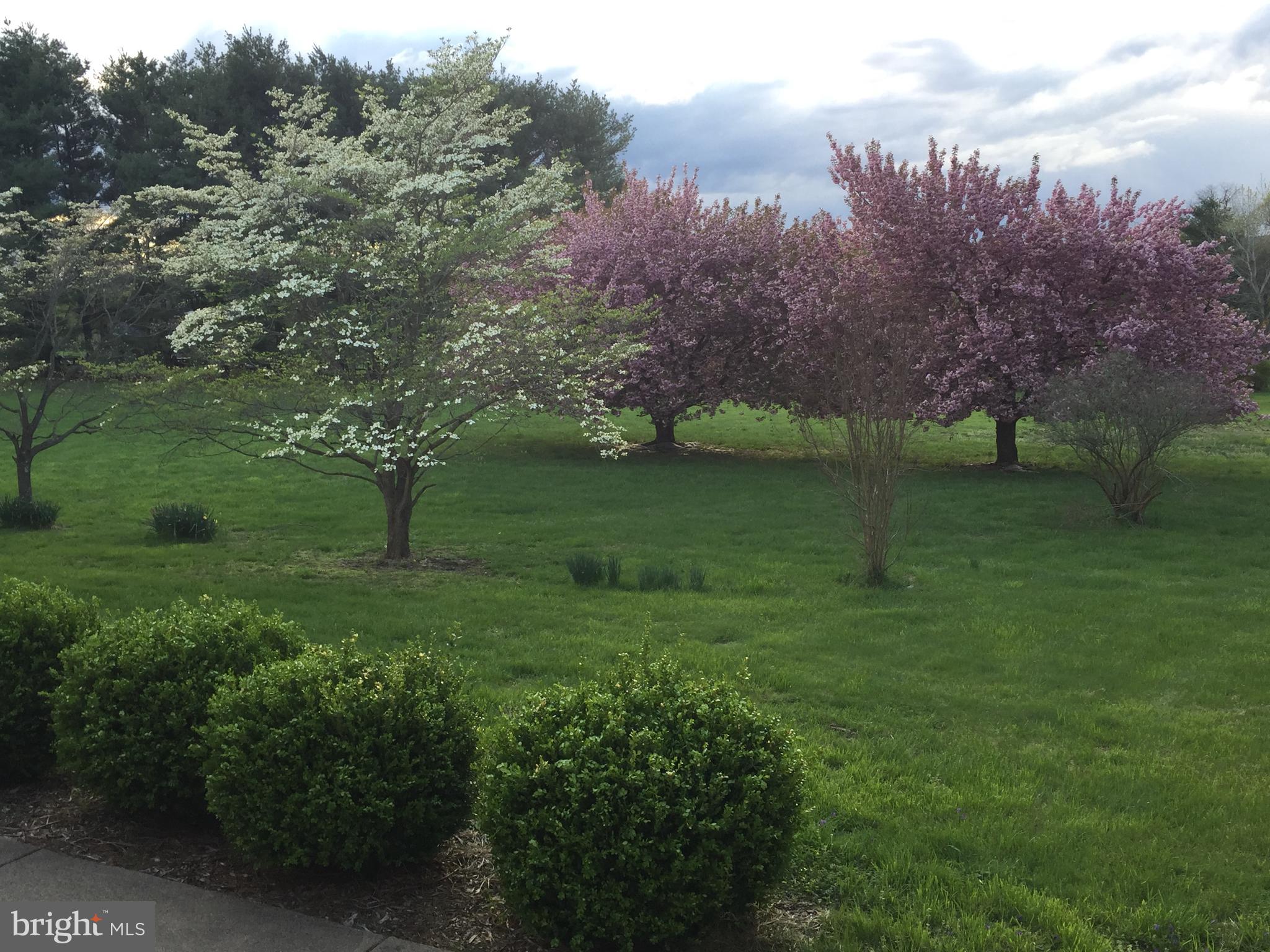 PANCOAST - Residential